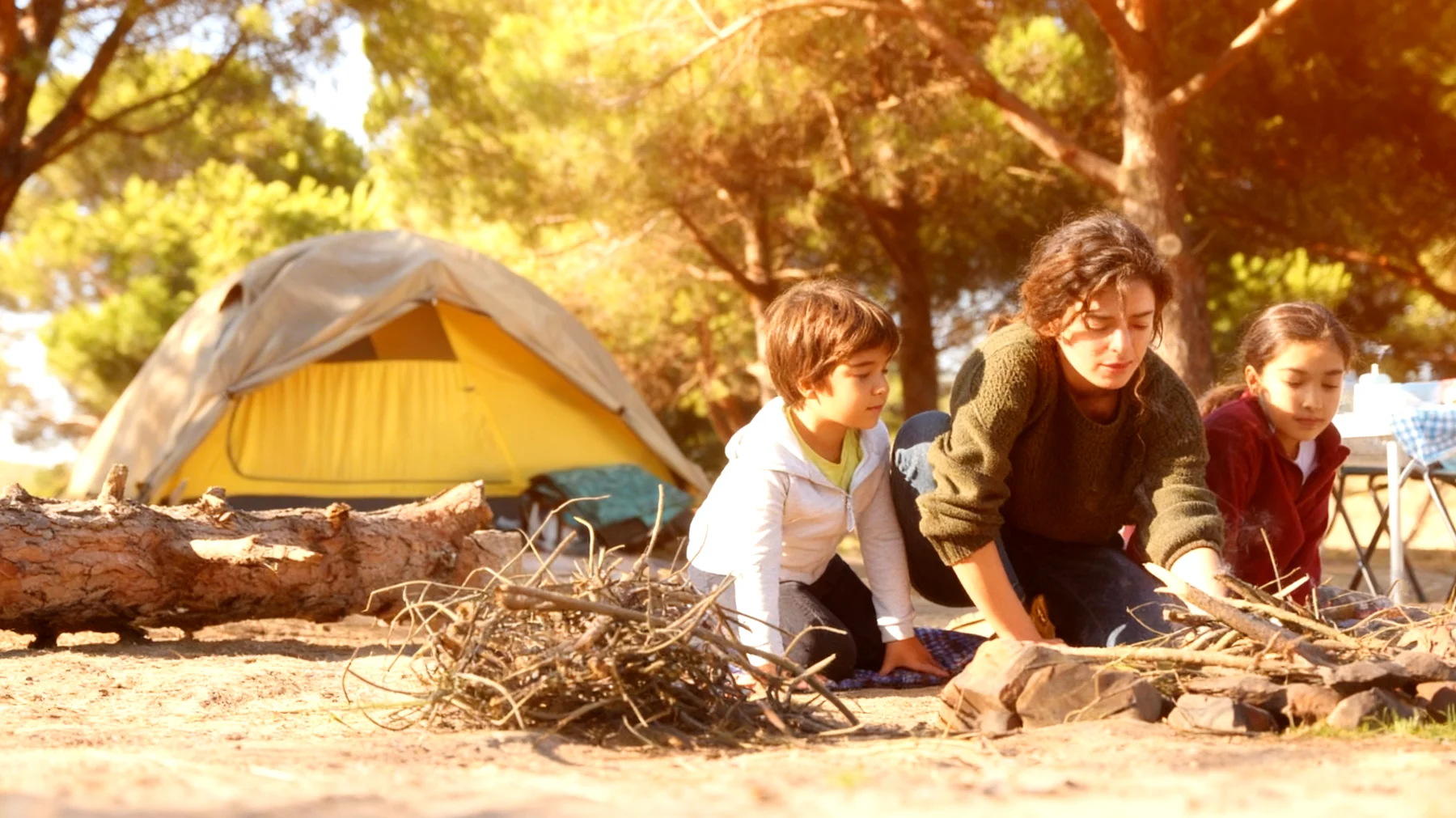 La forza di una donna2026-02-18T06:35:11.600Z"